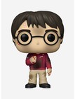 Pop! Harry Potter: Anniversary - Harry with Stone #132 NEW