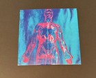 Nirvana : Sliver / Dive 7” Vinyl SP 73 Sub Pop Kurt Cobain Grunge