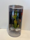 Duck Dodgers K-9 Funko Fantastik Plastik Looney Tunes K-9