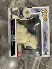Funko Pop Avatar The Last Airbender APPA #643 Box Lunch EXCLUSIVE FLOCKED