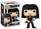 🔥Funko Pop! Rocks: Metallica - KIRK HAMMETT #59 VAULTED PROTECTOR🔥