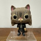 Harry Potter Hermione Granger (as Cat) #77 Funko Pop! Vinyl