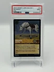 Maximus - Palace Horse