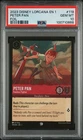 Peter Pan - Fearless Fighter