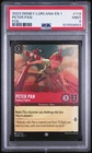 Peter Pan - Fearless Fighter