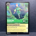 Peter Pan - Lost Boy Leader