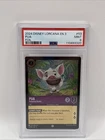 Pua - Potbellied Buddy