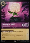 The White Rose - Jewel of the Garden
