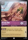 Peter Pan - Shadow Catcher