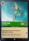 Peter Pan - Never Landing