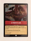 A Pirate's Life