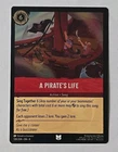 A Pirate's Life