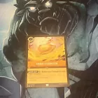 Amber Chromicon