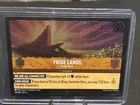 Pride Lands - Pride Rock