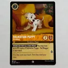Dalmatian Puppy - Tail Wagger