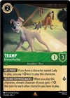 Tramp - Street-Smart Dog