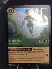 Peter Pan - Lost Boy Leader
