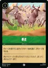 Stampede