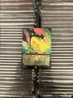 Dragon Fire