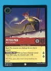 Peter Pan - Never Land Hero