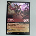 Peter Pan - Pirate's Bane