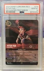 Peter Pan - Pirate’s Bane