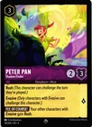 Peter Pan - Shadow Finder