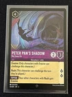 Peter Pan - Shadow Catcher