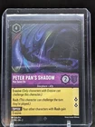 Peter Pan - Shadow Catcher