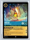 Merlin - Back from Bermuda
