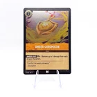 Amber Chromicon