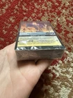 Starter Deck Display