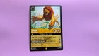 Simba - Pride Protector