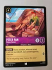 Peter Pan - Shadow Catcher