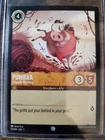 Pumbaa - Friendly Warthog