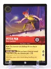 Peter Pan - Never Land Hero