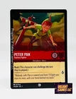 Peter Pan - Fearless Fighter