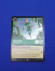 Peter Pan - Lost Boy Leader