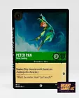 Peter Pan - Never Landing