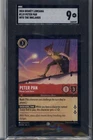 Peter Pan - Never Land Hero