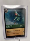 Peter Pan - Never Landing