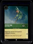 Peter Pan - Never Landing