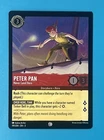 Peter Pan - Never Land Hero