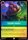Coconut Basket