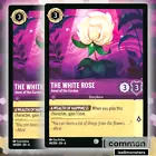 The White Rose - Jewel of the Garden