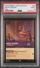 Magic Broom - The Big Sweeper