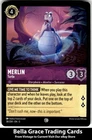 Merlin - Turtle