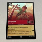 Peter Pan - Fearless Fighter