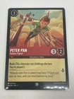 Peter Pan - Fearless Fighter