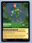 Peter Pan - Lost Boy Leader